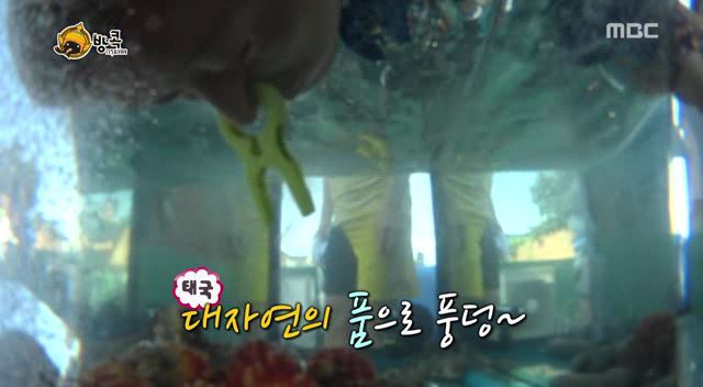 [무한도전] 나망이 배꼽잡고 웃었던 방콕특집 | 인스티즈