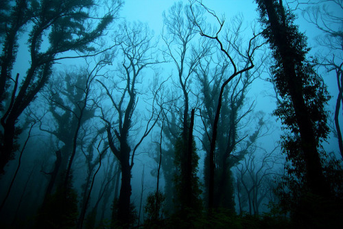  헤어졌다는 사실을 인정하는 것 | 인스티즈