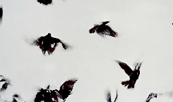 사람이라면 예외없이 자신이 한심하다고 느껴질 때가 있다 | 인스티즈