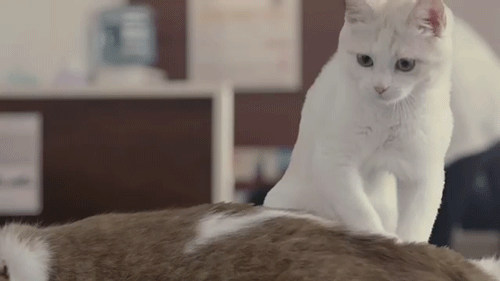 흔한 안마 시술소 | 인스티즈