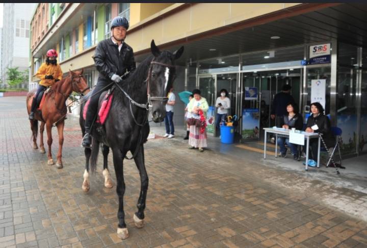 투표소 같이온 동물들 | 인스티즈