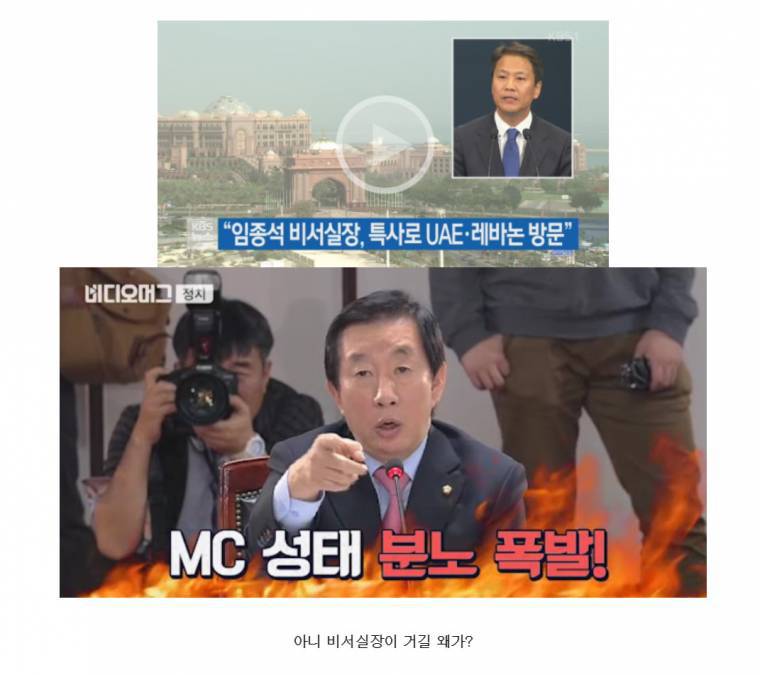 사람들은 잘 모르는 박쥐의 삶 | 인스티즈