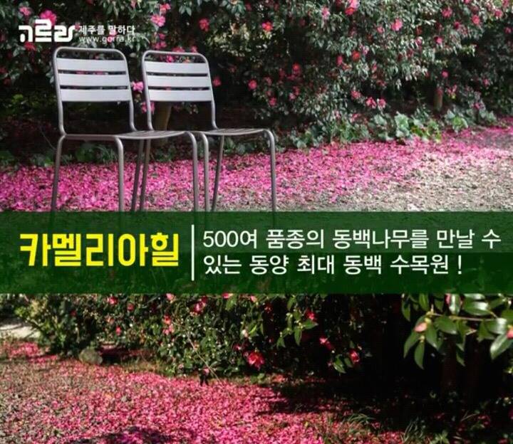 제주 겨울 여행지 12.jpg | 인스티즈