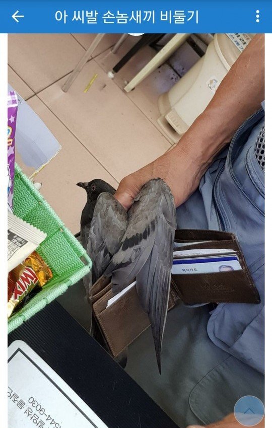 상인이 그 아이템을 원하지 않습니다 | 인스티즈