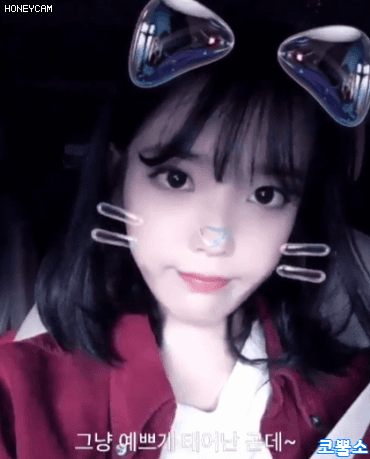 아이유 콰이.gif | 인스티즈