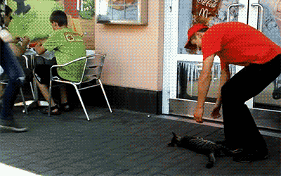 맥도날드 앞에서 진상 부리는 노숙자 | 인스티즈