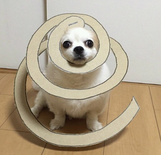 2016년 11월 1일 오하아사 | 인스티즈