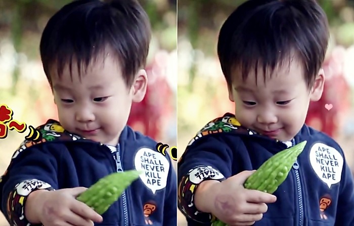 [슈퍼맨이돌아왔다] 자연친화적인 이 시대의 감성 유아 서언이~ㅋ | 인스티즈