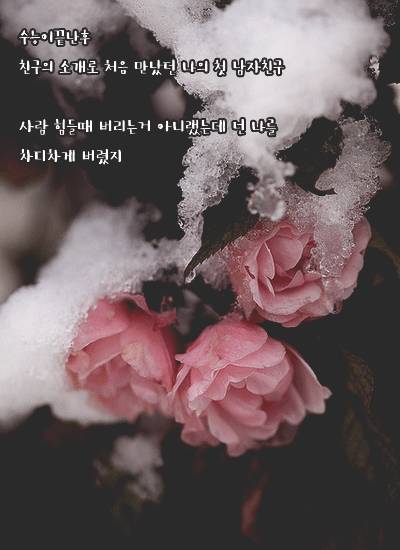  어사 매익 프로젝트: 당신의 첫사랑은 안녕하십니까? | 인스티즈