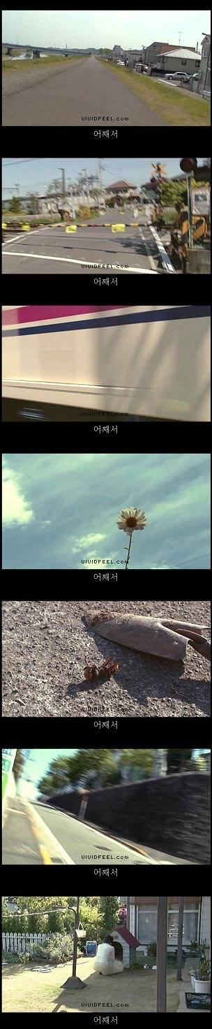 개의 일생 | 인스티즈