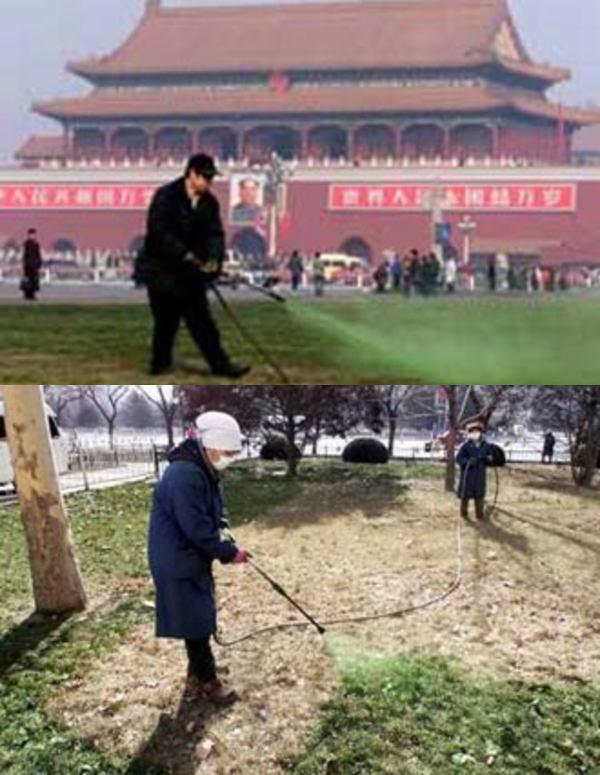 대륙의 잔디깍기 | 인스티즈