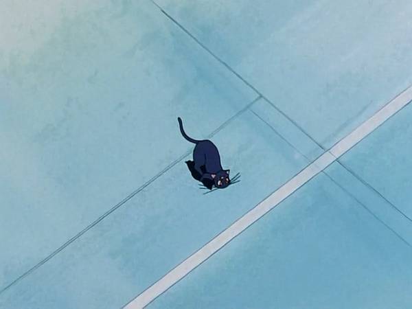 미소녀 전사 세일러문 (美少女戦士セーラームーン) 15 | 인스티즈