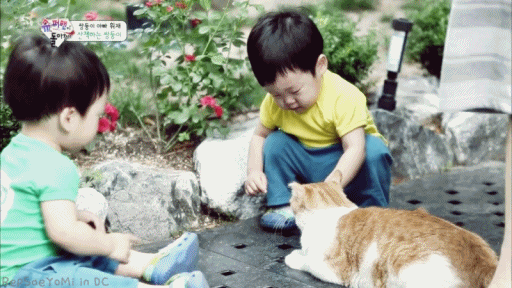 [슈퍼맨이돌아왔다] 자연친화적인 이 시대의 감성 유아 서언이~ㅋ | 인스티즈