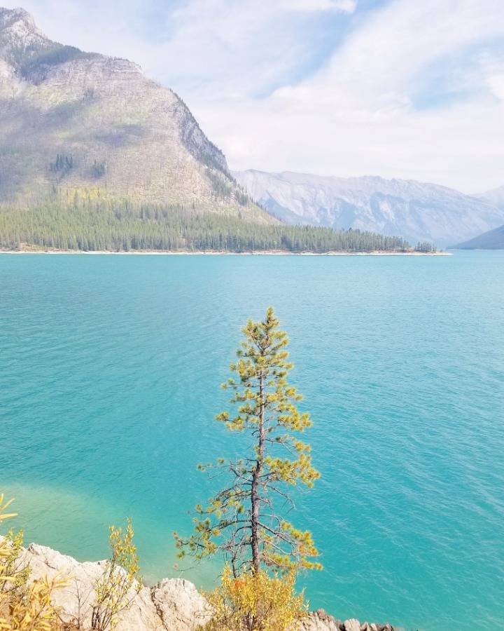 캐나다 사진 | 인스티즈