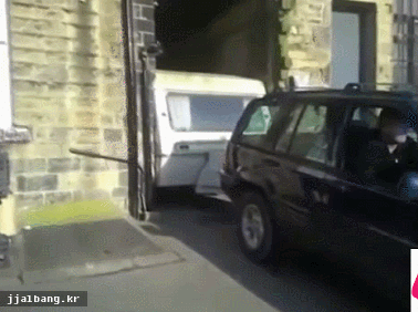 얘들아! 캠핑가자!.gif | 인스티즈