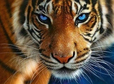 과탑 가능하다vs힘들다 | 인스티즈