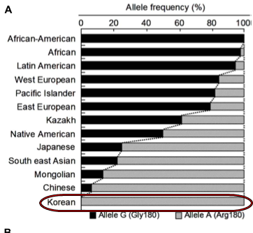 한국인은 전 세계에서 암내가 제일 적게 나는 민족.jpg | 인스티즈