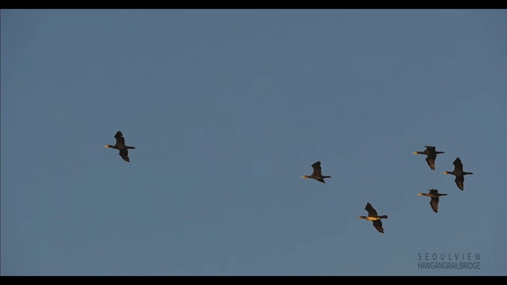 서울의 하루.jpg | 인스티즈