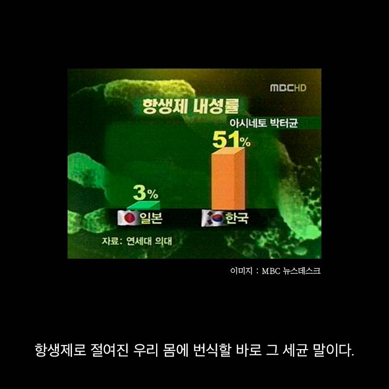 항생제의 역습 | 인스티즈