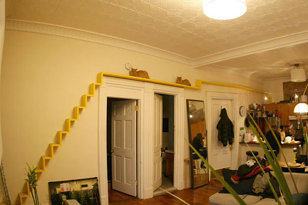 고양이를 위한 가구 | 인스티즈