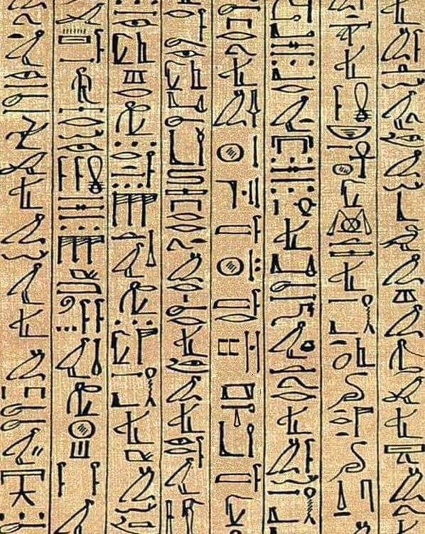 고대 이집트 문자인데 해석이 됩니다 | 인스티즈