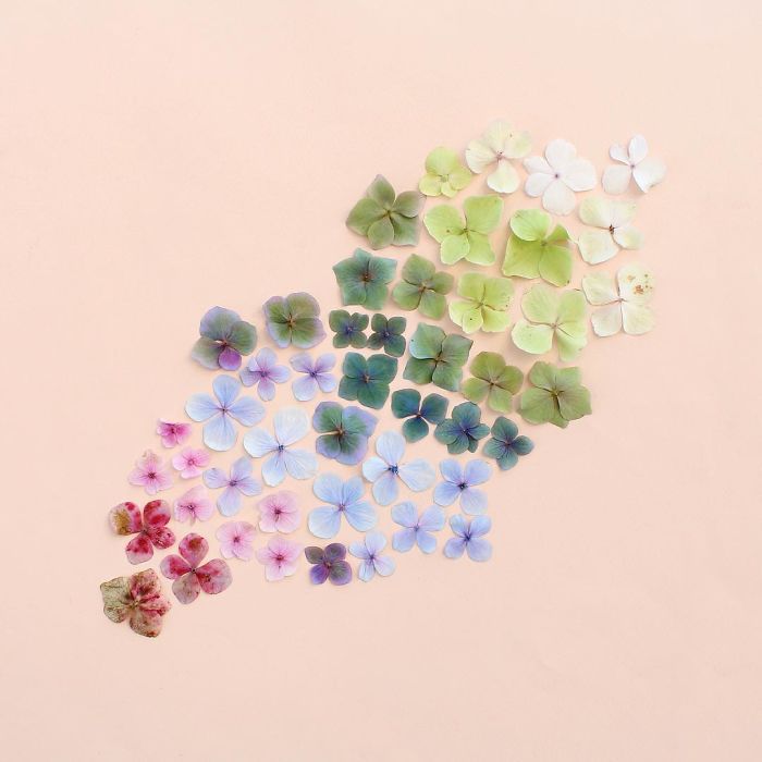 기분이 좋아지는 사진 | 인스티즈