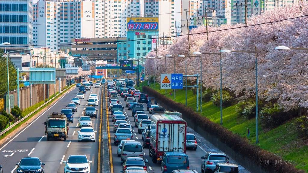 서울의 하루.jpg | 인스티즈