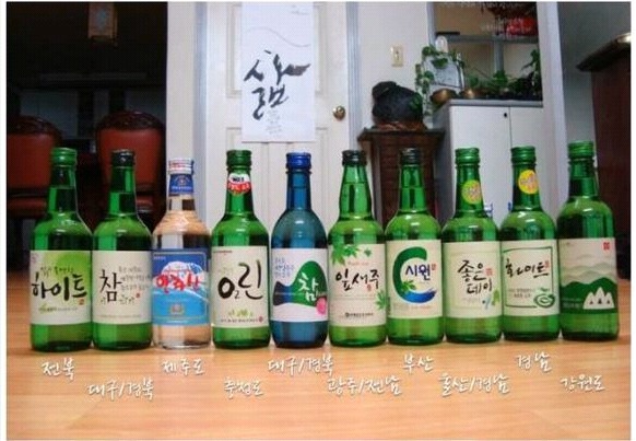 전국 지역별 소주 | 인스티즈