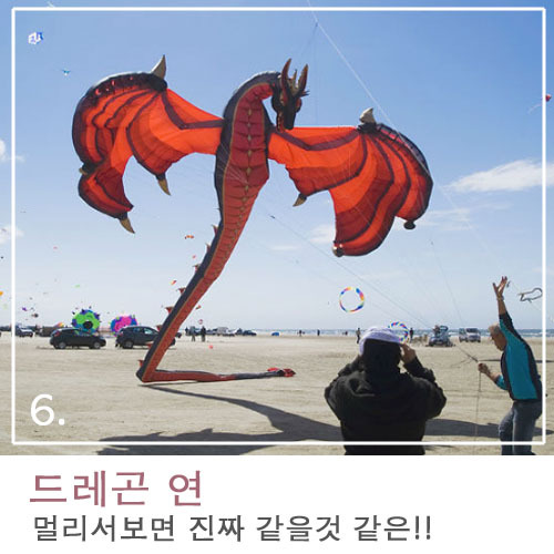 드레곤 모양의 디자인 TOP10 | 인스티즈