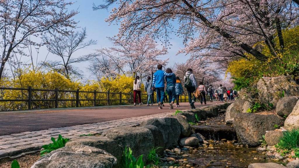 서울의 하루.jpg | 인스티즈