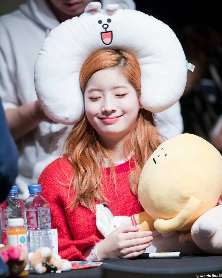 [트와이스] 모찌가 눌려버린 다현이 | 인스티즈