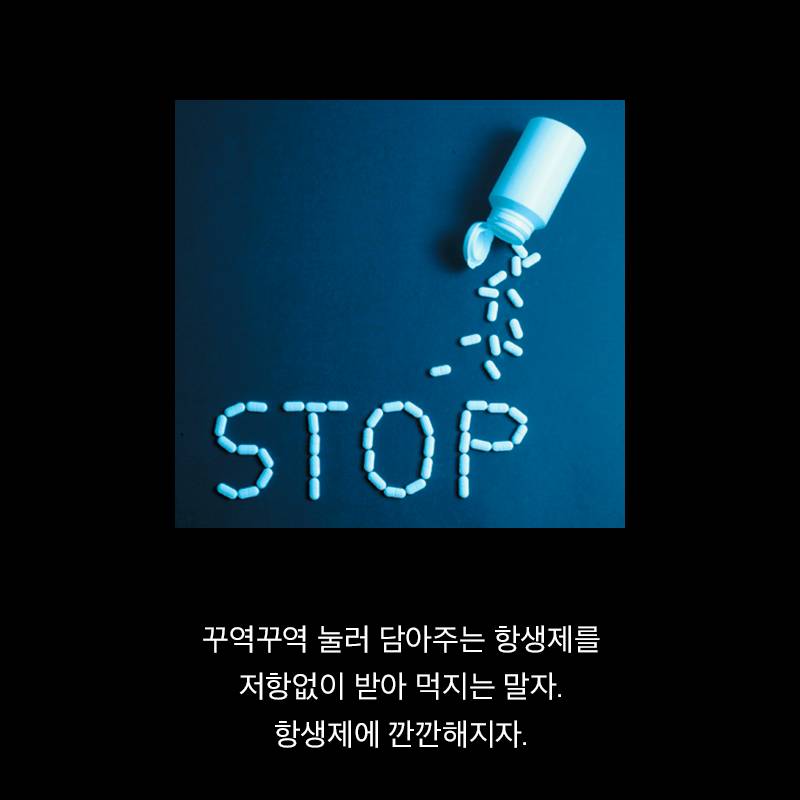 항생제의 역습 | 인스티즈