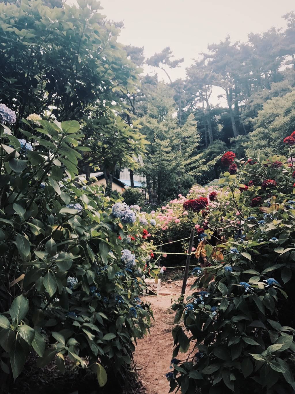 [부산광역시] 부산의 센치함 | 인스티즈