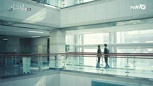 시그널이 공중파였다면 강제로 포텐셜 터졌을 러브라인.jpg | 인스티즈