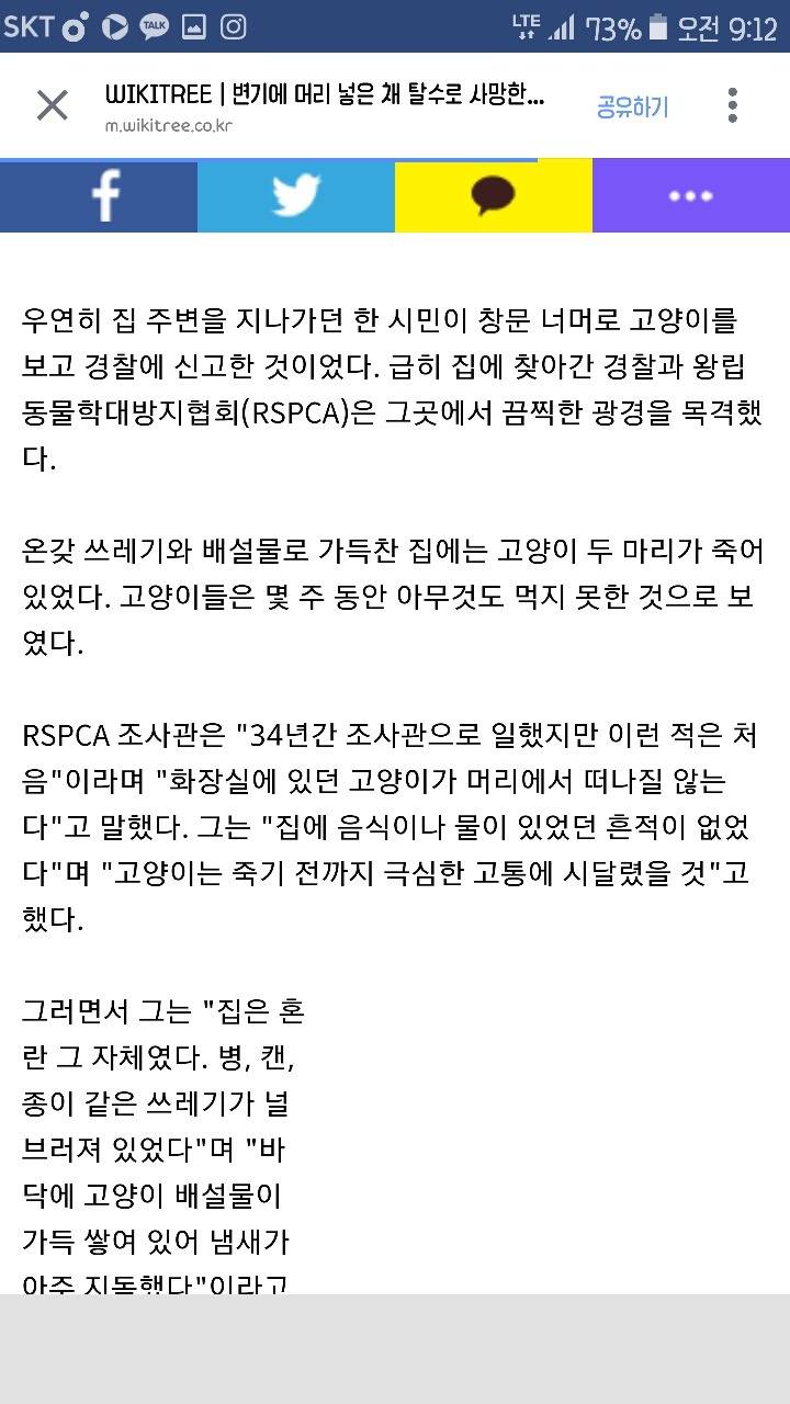 변기에 머리 넣은 채 탈수로 사망한 고양이 | 인스티즈