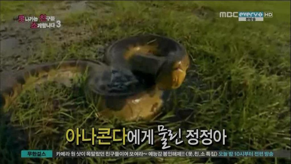 정정아 데스티네이션 | 인스티즈