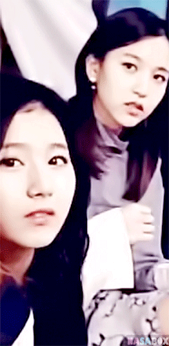 [트와이스] 팬들한테 애교부리는 미나랑 사나 | 인스티즈