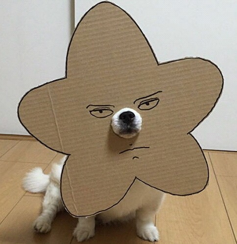 꼭 만점으로 부탁드립니다.twt | 인스티즈