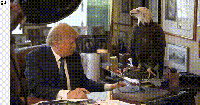 트럼프가 맘에 안드는 미국의 상징.jpg | 인스티즈