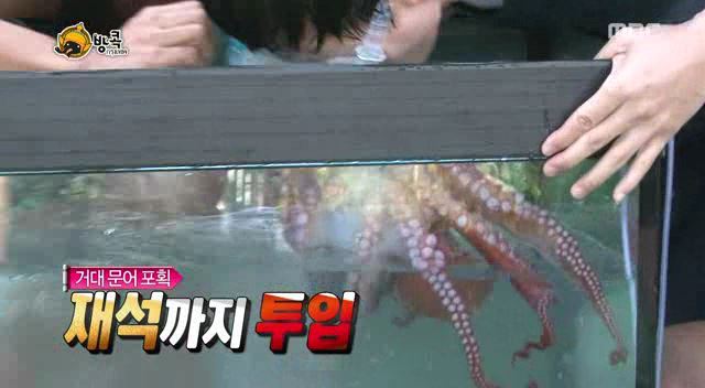 [무한도전] 나망이 배꼽잡고 웃었던 방콕특집 | 인스티즈