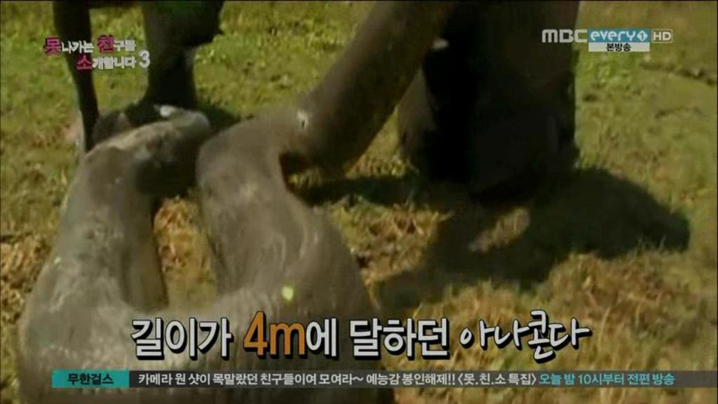 정정아 데스티네이션 | 인스티즈