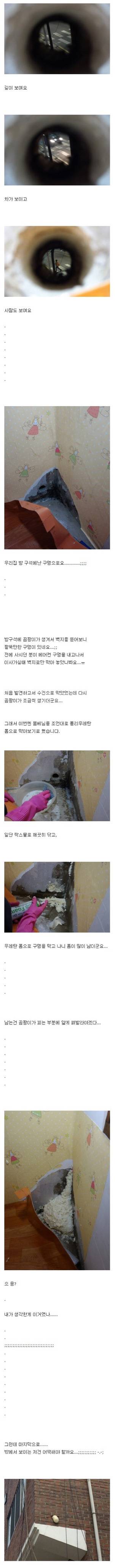 셀프 집수리.jpg | 인스티즈