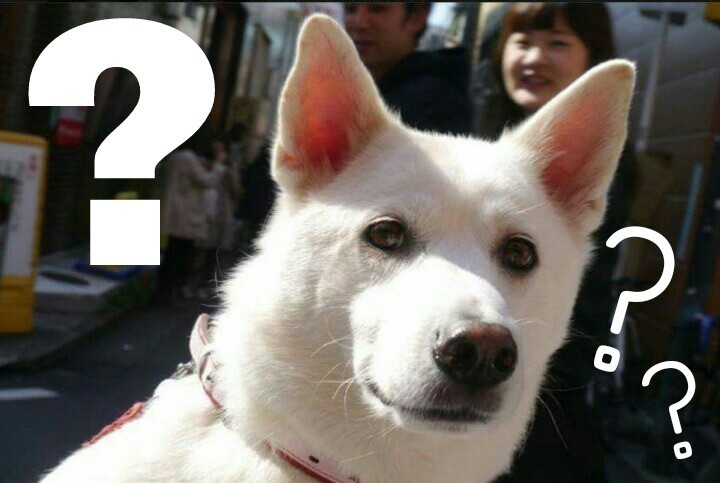 충격적인 연예인의 입금 전/후 (feat.잃어버린해리를찾아서) | 인스티즈