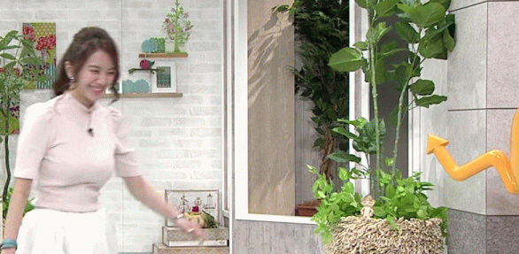 일본의 아나운서.jpg | 인스티즈