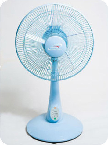 둘 중에 하나 없이 살아야된다면?? | 인스티즈