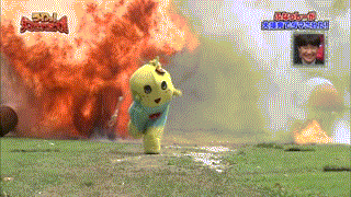 ㅇㅇ 너 왠지 정치에 관심 없을것같이 생김 (feat. 정치쿨병 치료법) | 인스티즈