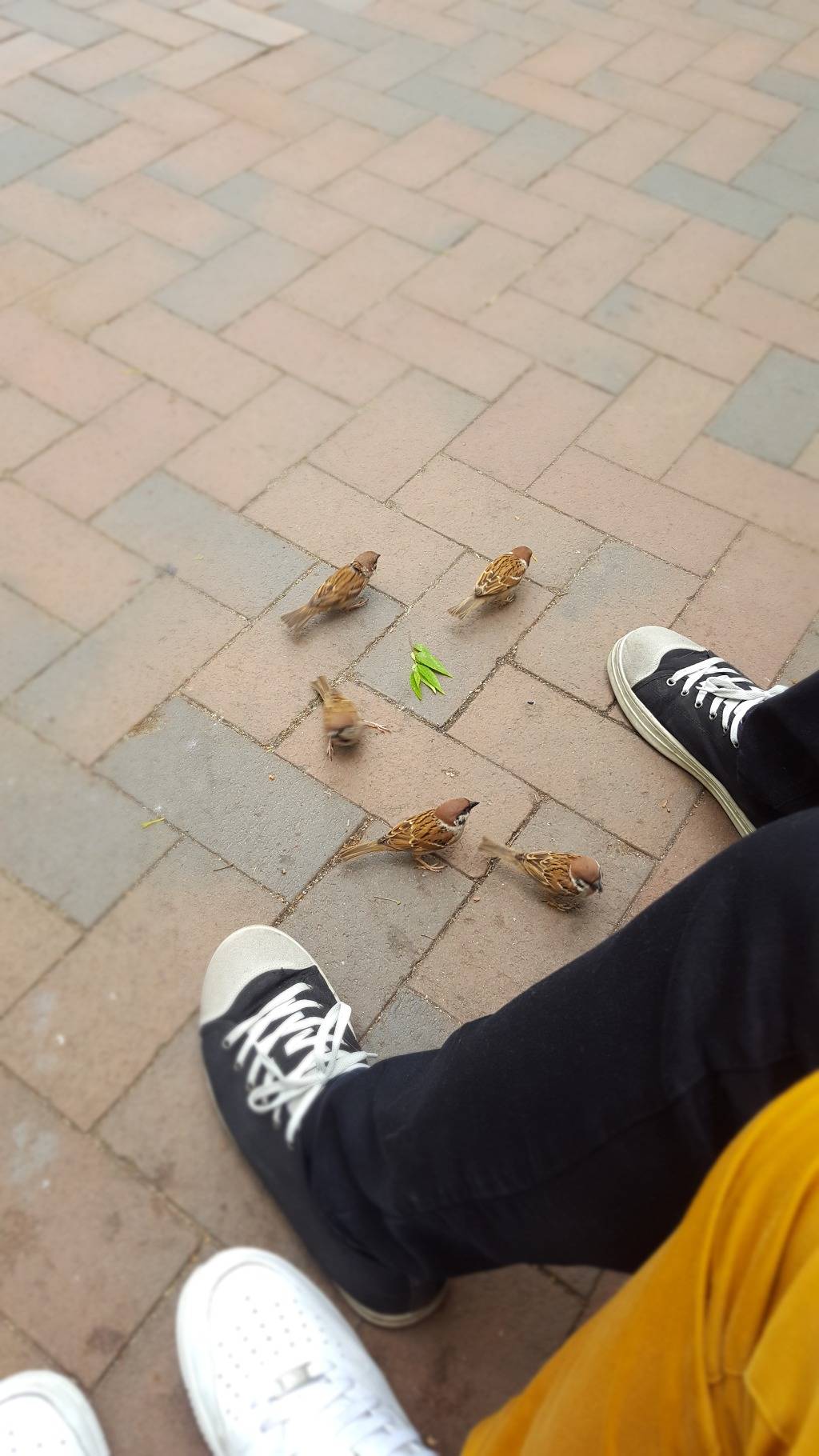 덕수궁(+광화문) | 인스티즈