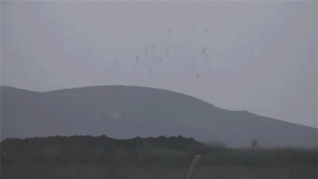 탄의 위력 | 인스티즈