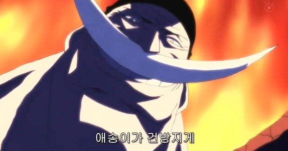 에이스의 기묘한 항해 | 인스티즈