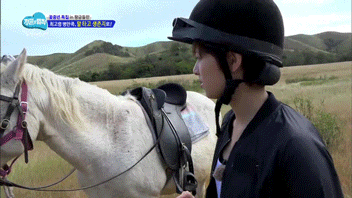 정연 다치게한 말을 응징하는 트와이스팬 | 인스티즈